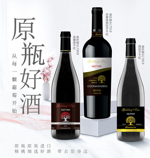 金葉樹(shù)葡萄酒公司2020年酒制品生產(chǎn)及市場(chǎng)推廣戰(zhàn)略
