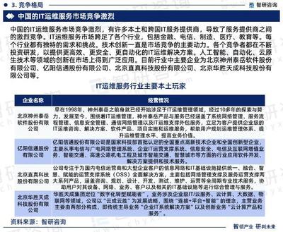 2023年中國IT運(yùn)維服務(wù)行業(yè)現(xiàn)狀及未來發(fā)展趨勢研究報(bào)告